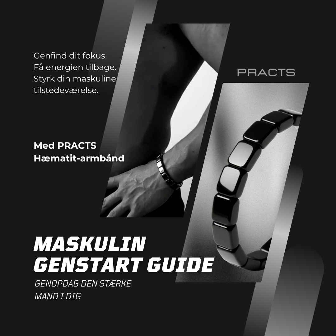 Maskulin Genstart Guide-DK