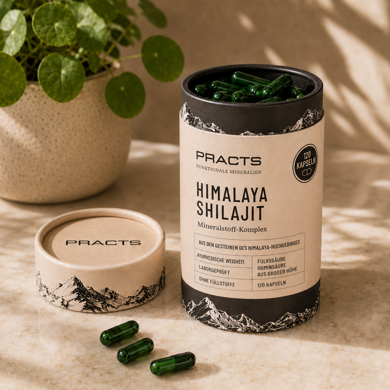 PRACTS Himalaya Shilajit Kapseln