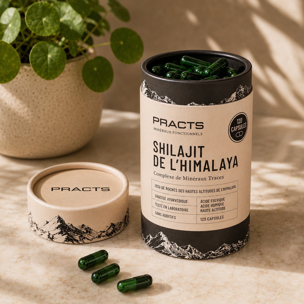 PRACTS Gélules de Shilajit de l’Himalaya