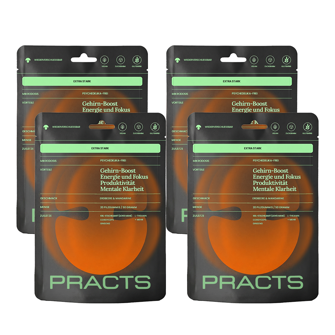 PRACTS Gehirn-Boost