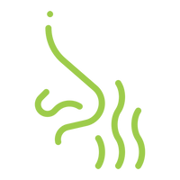 Step icon
