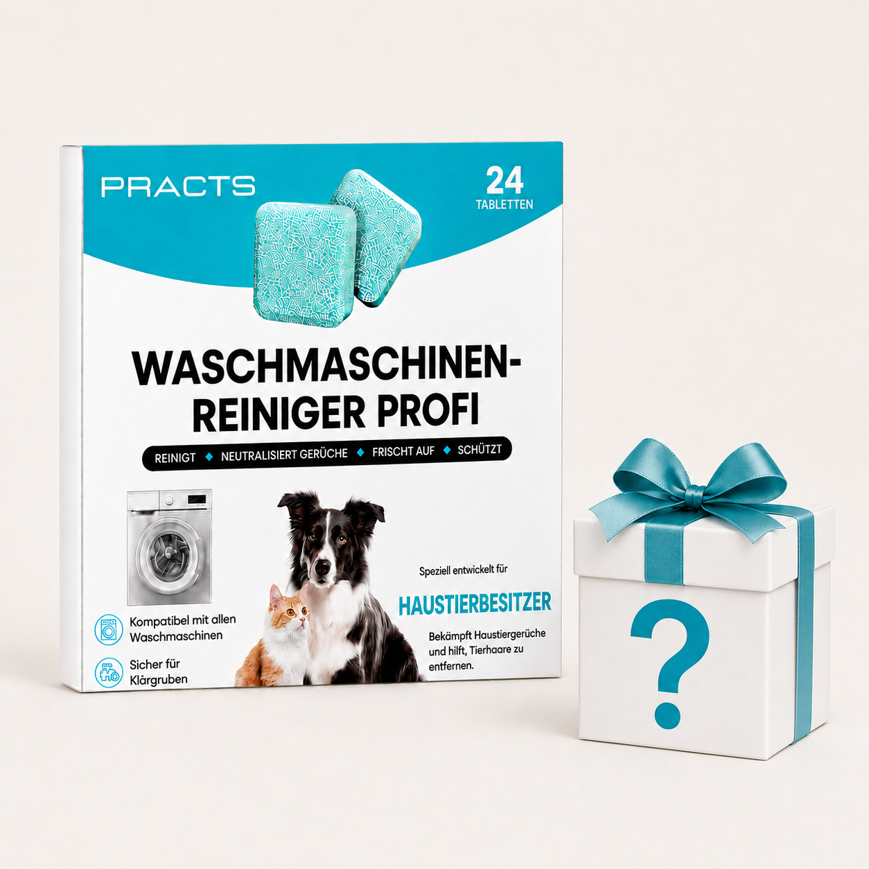 PRACTS Waschmaschinenreiniger